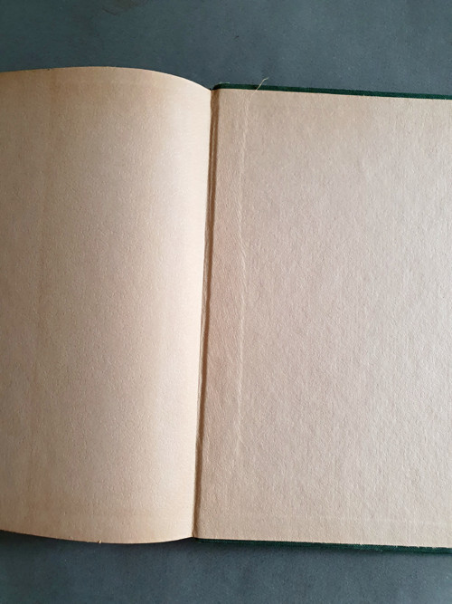 Zeleninová mísa — foto 4