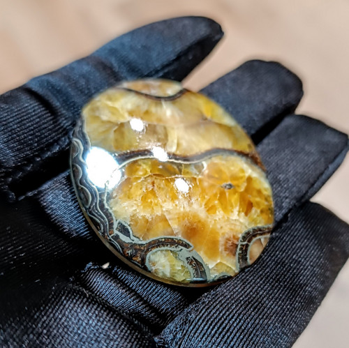 Amonitový Simbircit, ID 4869, 47x39 mm — foto 3