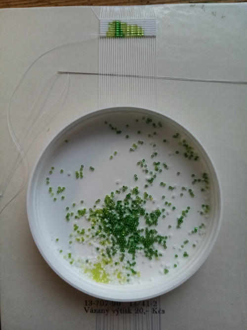 Dubové listy — foto 4