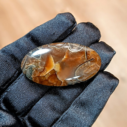 Amonitový Simbircit, ID 4883, 47x25 mm — foto 3