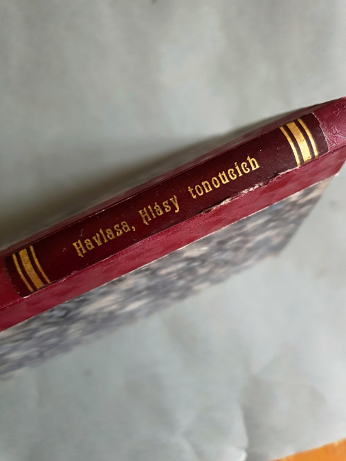 Hlasy tonoucích — foto 5