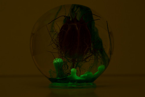 Noční lampa — foto 6