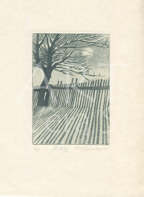 Stíny — foto 2