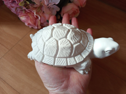 Želva 3D — foto 3