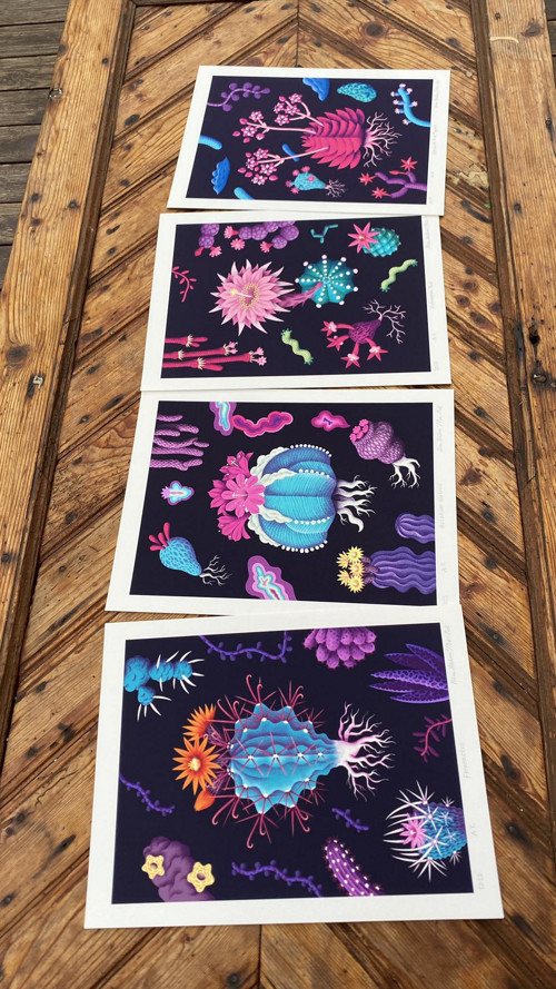 Ilustrace Ferocactus — foto 3