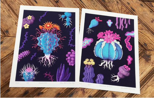 Ilustrace Ferocactus — foto 4