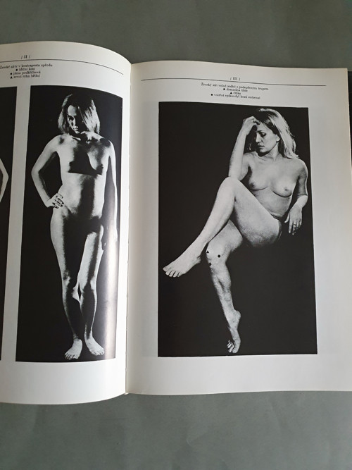 Anatomie pro výtvarníky — foto 5