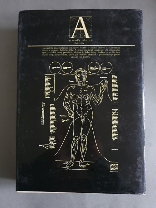 Anatomie pro výtvarníky — foto 6