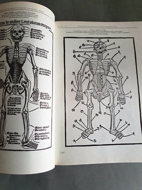Anatomie pro výtvarníky — foto 3