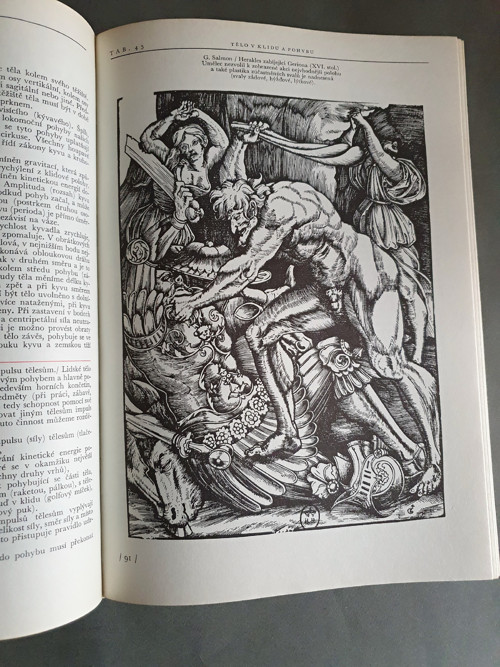 Anatomie pro výtvarníky — foto 4