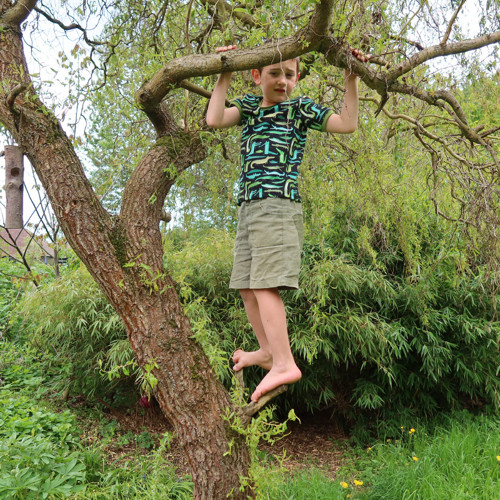 Triko KROKODÝLI n°2 — foto 3