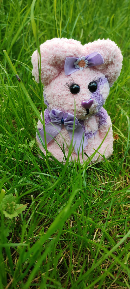 Medvědí slečna Lilinka č.10 — foto 4