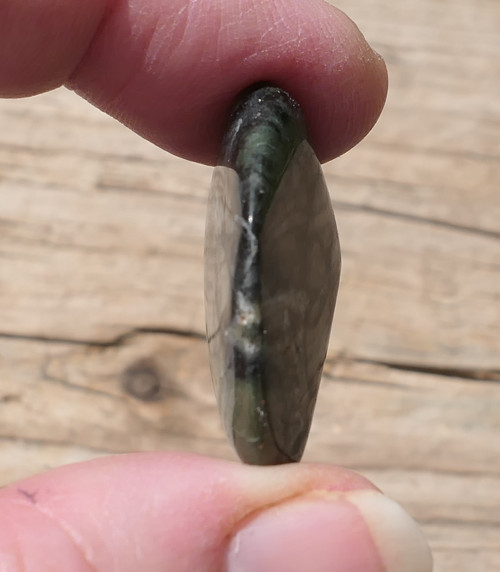 Jaspis kambaba - Nebula stone V1029 — foto 2