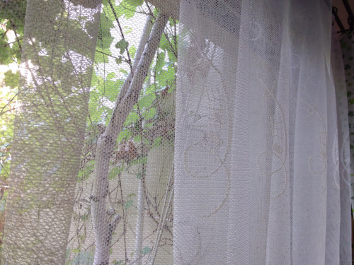 Záclonka — foto 5