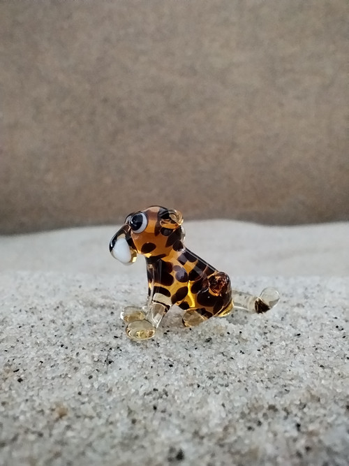 Panter sedící — foto 4