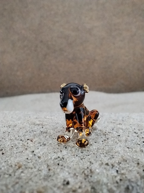 Panter sedící — foto 5