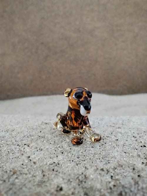 Panter sedící — foto 6