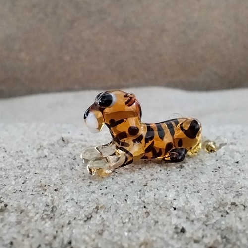 Panter ležící — foto 5