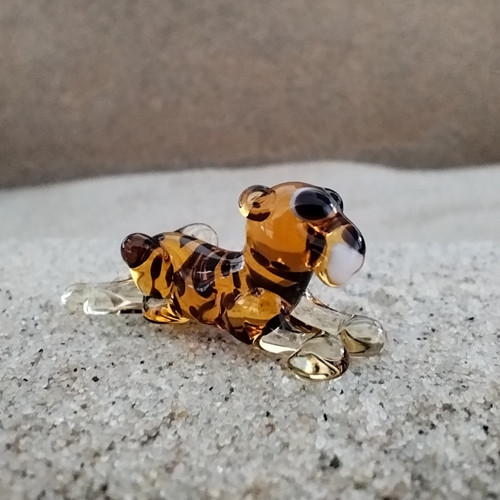 Panter ležící — foto 3