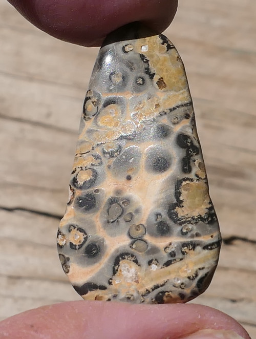 Jaspis leopardí V1053 — foto 3