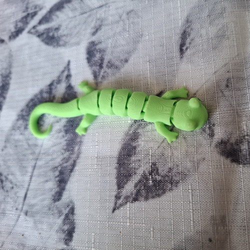 Ještěrka — foto 2