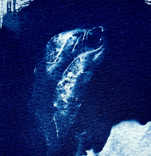DIY kit CYANOTYPE "START" - sada v angličtině — foto 5