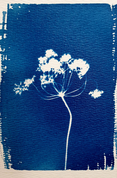 DIY kit CYANOTYPE "MINI" - sada v angličtině — foto 4
