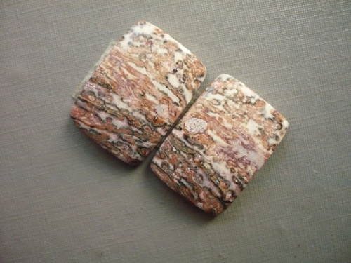 Pár kabošonů - jaspis leopardí 20 mm, č.8Bf — foto 2