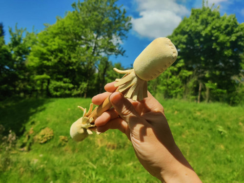 Oboustranná palička na šamanský buben — foto 4