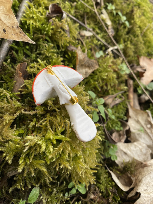 Amanita muscaria — foto 6