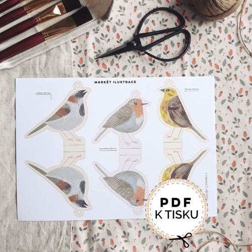 Vystřihovánka Ptáčci (PDF k tisku) — foto 3