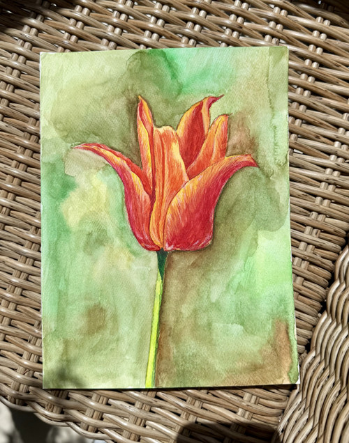 "Tulipán" Akvarelový obrázok — foto 2