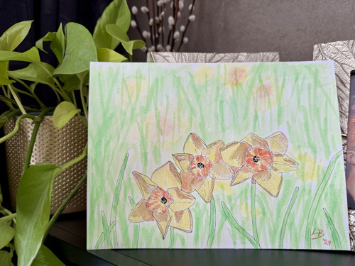 “Daffodils” akvarelová malba narcisků — foto 2