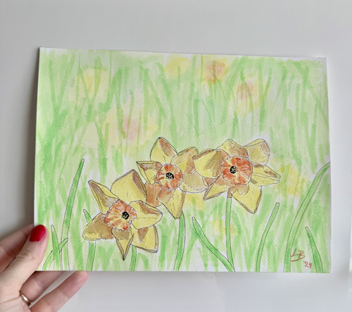 “Daffodils” akvarelová malba narcisků — foto 4