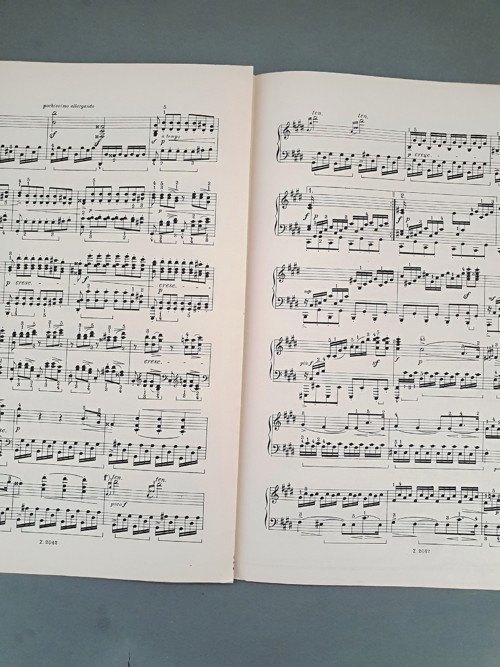 Mondschein — foto 2