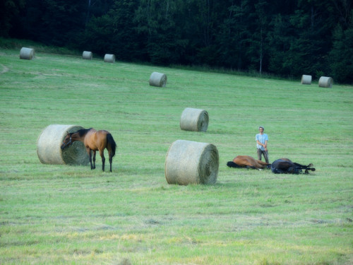 Tvořivě relaxační víkend u nás .. — foto 3