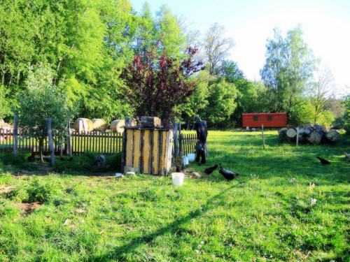 Tvořivě relaxační víkend u nás .. — foto 4