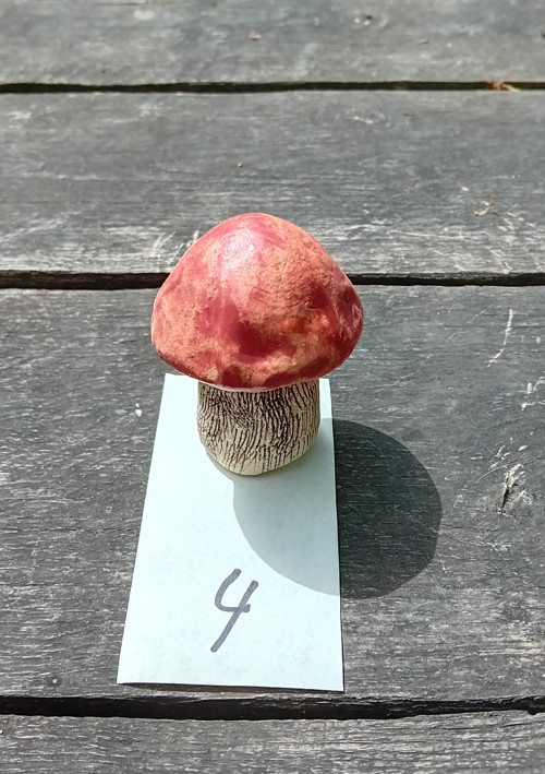 Houbička křemenáč 4 — foto 2