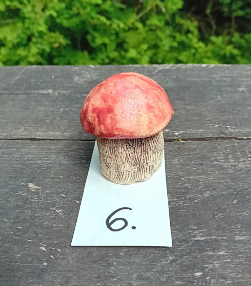 Houbička křemenáč 6 — foto 2