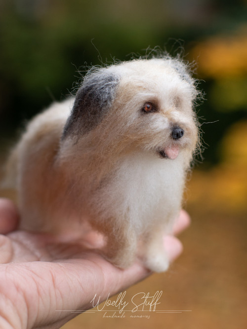 Pejsek podle fotky — foto 5