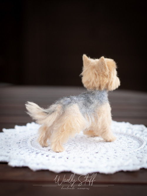 Pejsek podle fotky — foto 4