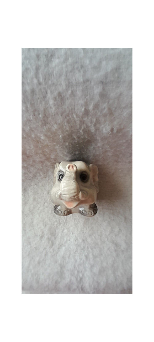 Slon — foto 4