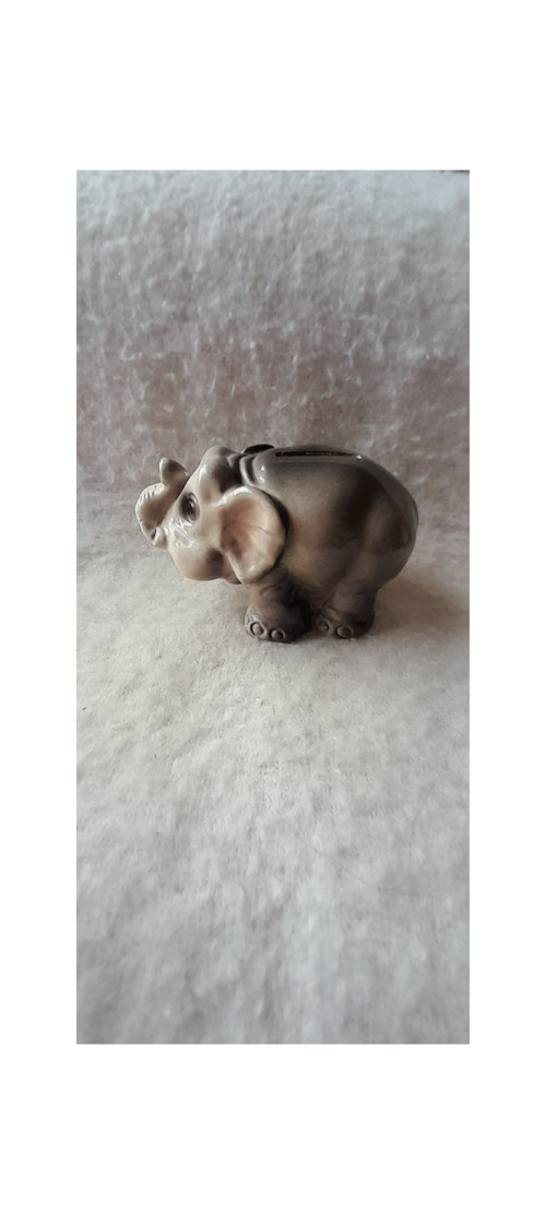 Slon — foto 2
