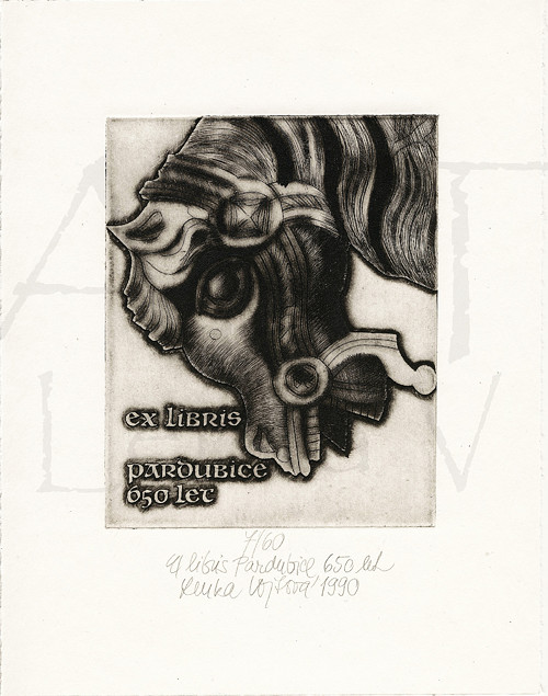 Ex libris Pardubice 650 let — foto 2