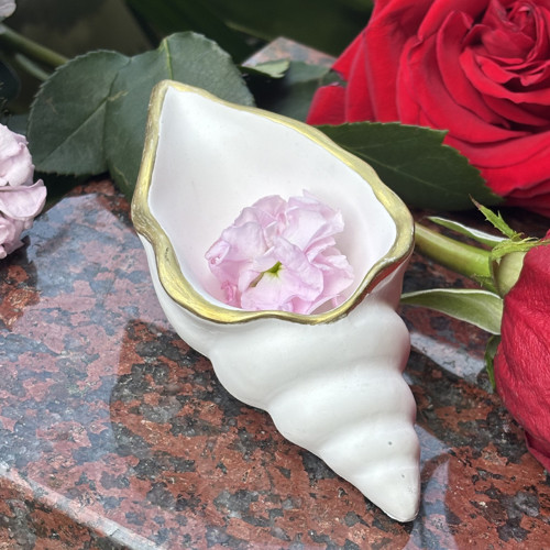 Mušle zlacená — foto 3
