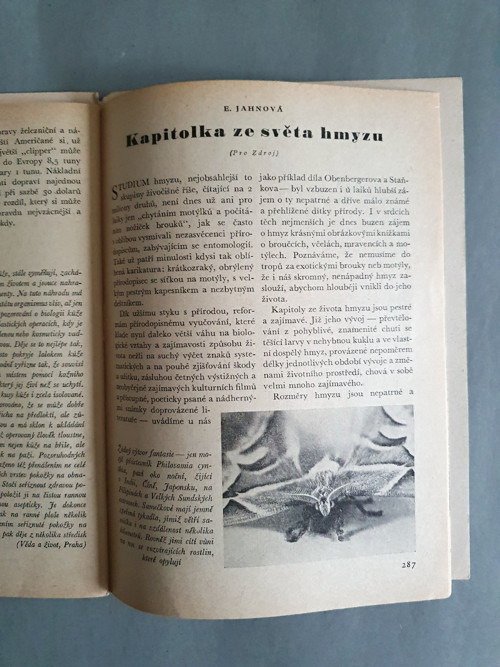 Zdroj č. 135 rok 1945 — foto 4