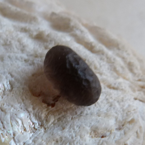 Kolumbianit - 1,6 cm - Extra ! (K2) — foto 5