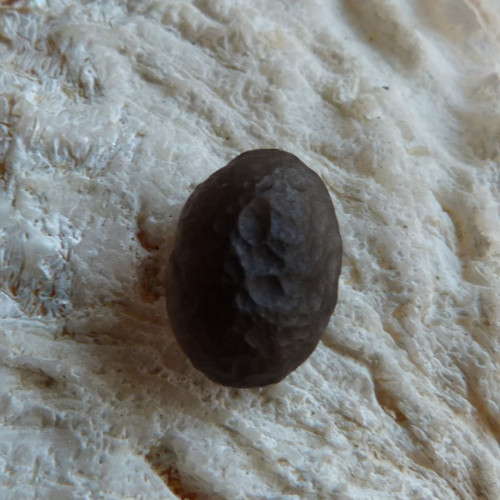 Kolumbianit - 1,6 cm - Extra ! (K2) — foto 4