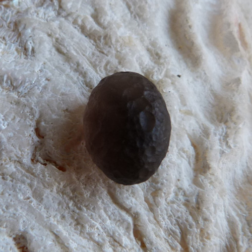 Kolumbianit - 1,6 cm - Extra ! (K2) — foto 3