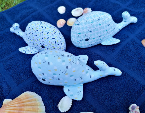 Malé velrybky — foto 3